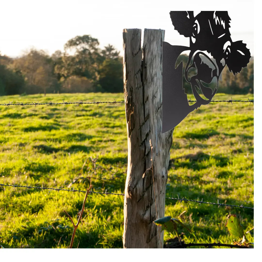 Peeking Cow Metal Wall Art - Metal Garden Decor Rusper & Pines