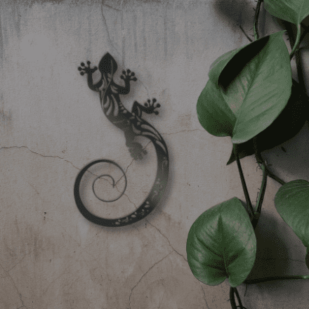 Metal wall decor of Lizard climbing up the wall with long swirling tail and intricate design on the body.