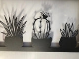cacti, gift, present, decoration, nature. plant